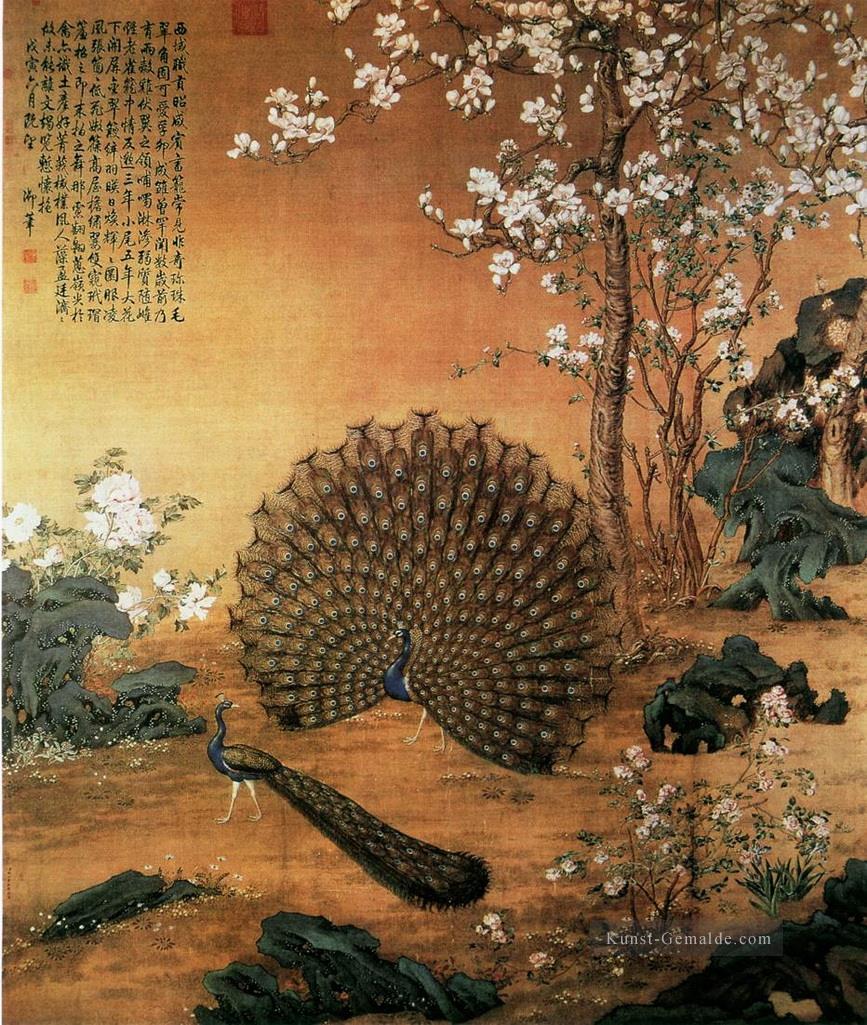 Lang leuchtende Proudasa Peacock Kunst Chinesische Ölgemälde